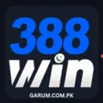 3888 Win Game
