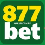 8777Bet Game