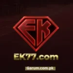 EK77 Game