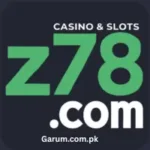 Z78 Game