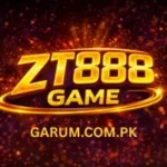 ZT888 Game