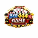 BRO 444 Game