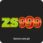 ZS999 Game