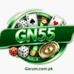 GN555 Game